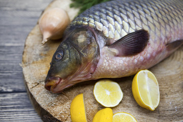 Fresh raw fish carp caught lying on a wooden stump with a knife and slices of lemon and with salt dill. Live fish crucian Carassius auratus gibelio.