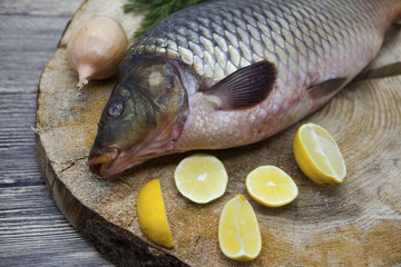 Fresh raw fish carp caught lying on a wooden stump with a knife and slices of lemon and with salt dill. Live fish crucian Carassius auratus gibelio.