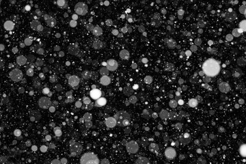 Falling Snow On The Black Background