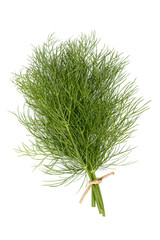Fennel