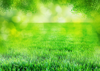 Fototapeta premium grass background