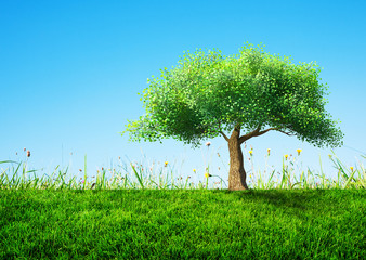 Fototapeta na wymiar tree with grass
