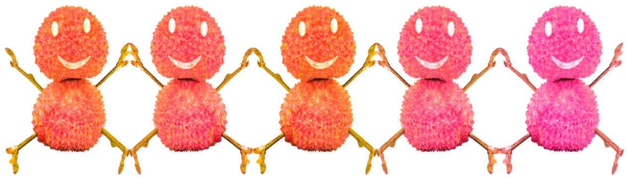  ribambelle de litchis pantins souriants