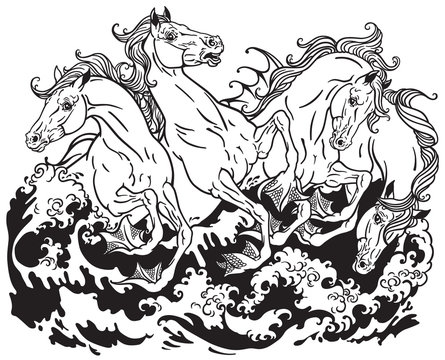 four mythological seahorses black and white