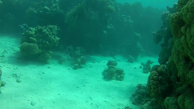 Reef canyon. Coastal reefs of the red sea like a canyon. The depth of 5-6 meters. Used outboard equipment on the basis of the camera.