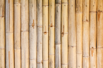 Fototapeta premium bamboo fence background