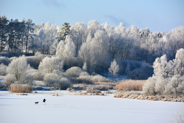 Winter landscape with frozen lake
