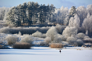 Winter landscape with frozen lake