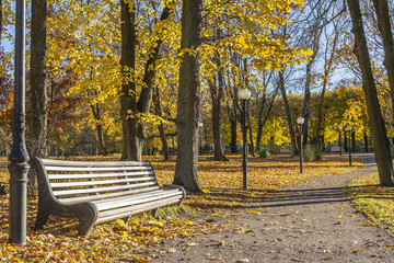 Old Fashioned Bench In The Autumn Park