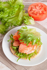 sandwich with cheese, tomato and salmon, close-up