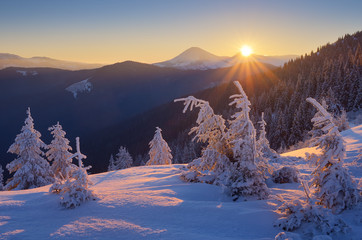 Winter landscape at sunrise