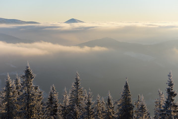 Morning landscape in mountains