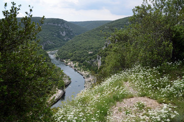 Fototapeta na wymiar Blick in die Ardèche Schlucht