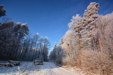 Winter landscazpe with frozen trees