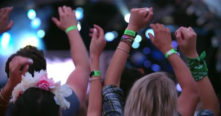 Back view of the audience of a gig at a music festival