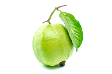 Fresh guava fruit isolated on white background - 97052496