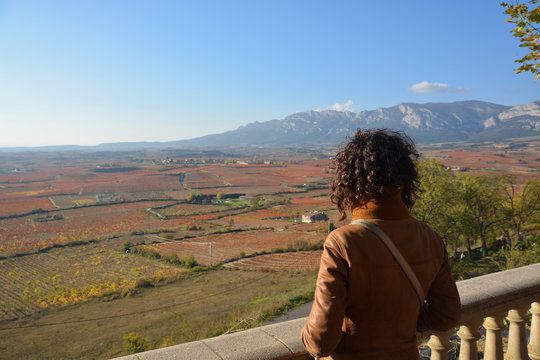 colores de oto&ntilde;o en los vi&ntilde;edos de La Rioja