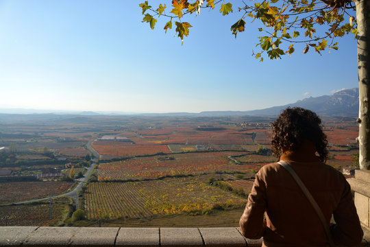 colores de oto&ntilde;o en los vi&ntilde;edos de La Rioja