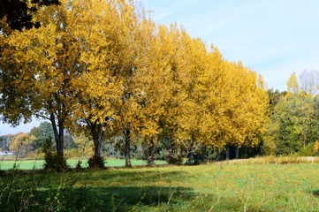am Stadtwal