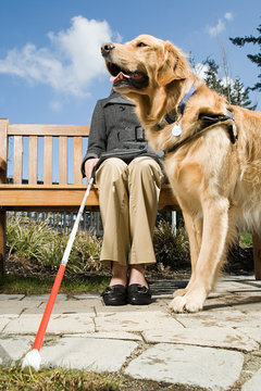 Blind woman and a guide dog
