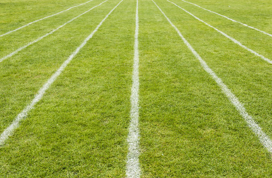Running track lines marked on the grass