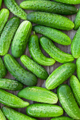 Ripe cucumbers