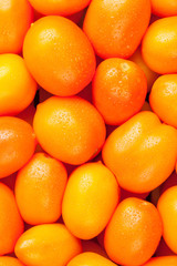 Fresh garden orange tomatoes