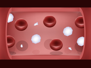 graphic design of blood system,Interior of a blood vessel with red blood cells ,white blood cells and platelets