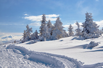 Buried in snow hiking trail in the Giant Mountains in Poland.