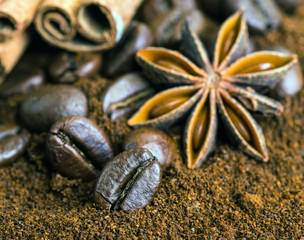 Coffee beans coffee beans