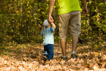 Naklejka na ściany i meble Baby learning to walk in the autumn forest