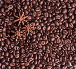 Coffee beans coffee beans