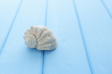 Border pattern of white sea shells on blue wooden table