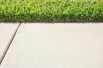 Path and grass