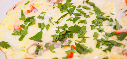Obraz na płótnie Canvas omelet with bacon, vegetables and cheese