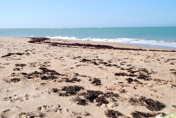 PLAYAS DE ANDALUCÍA, ESPAÑA. EUROPA