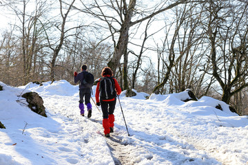 senderismo invierno nevado entre árboles 0184-f15