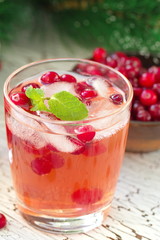 Alcohol cocktail with cranberries, vodka and ice