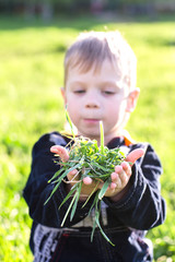 Boy holding grass.