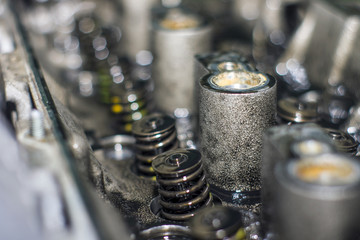 Cylinder head of an automobile engine