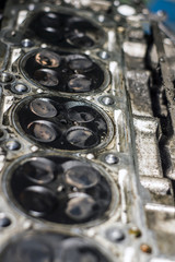 Cylinder head of an automobile engine