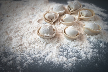 Pelmeni with raw meat