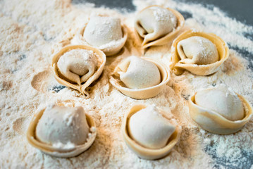 Meat dumplings on a flour