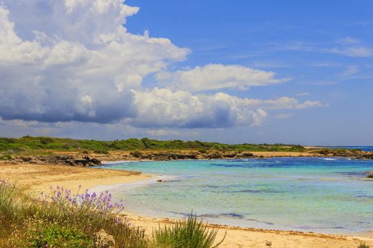 Salento:Lido Marini beach.ITALY(Apulia).The coastline is characterized by Mediterranean maquis, sandy beaches and low sea beds: going on towards the Sout,instead you can find a long stretch of reef.