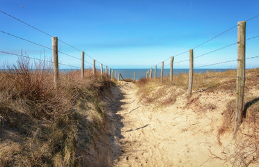 The path to the sea.