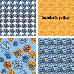 Trend of succulents patterns and stripes.