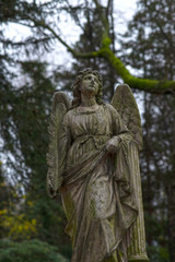 Fototapeta premium Anioł z gałązką palmową