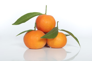 tangerines on a white background with reflection
