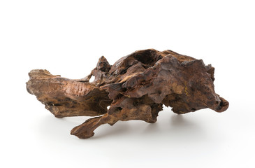 beautiful log