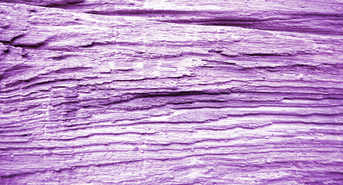 Holz / Treibholz Hintergrund, Textur, violett